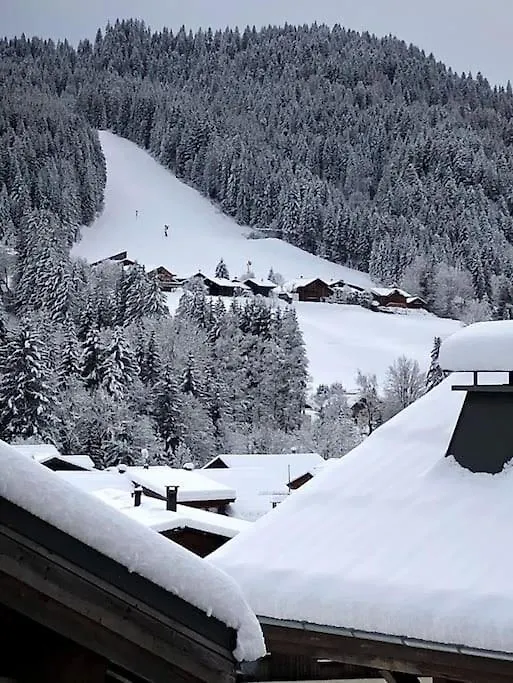 Chalet 500 M Du Village Et Du Front De Neige Les Gets