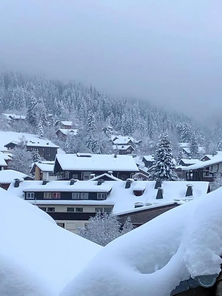 Chalet 500 M Du Village Et Du Front De Neige Les Gets