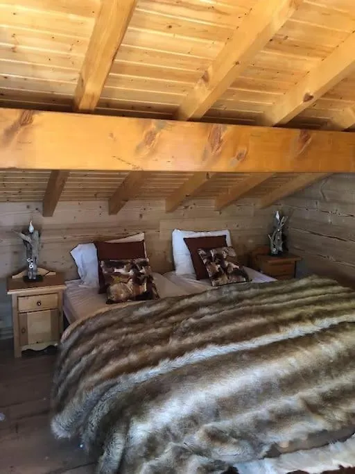 Chalet 500 M Du Village Et Du Front De Neige Les Gets France